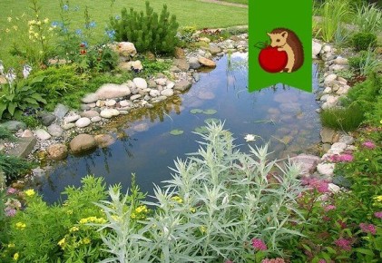 ���� �� ������ ������: ������ ��� ��������� ����������