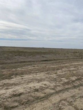 �������� ������ ��������� ����� ��� �� ����� ��� ��������� 5 ��� �������� �� �����������