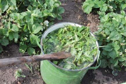 ��� ������� ������������ ������ ������: ������ ��� ������������ ��������