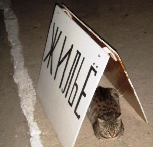 ����� �������� ��������� ����������� ����� ����� �� �����������