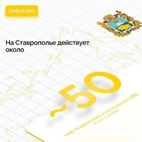 Развитие системы поддержки участников спецоперации и их семей обсуждено на заседании правительства региона