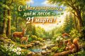 21 марта - Международный день лесов