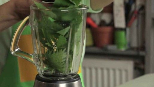 ��� ������� ���������-����� ��� ����� ��������