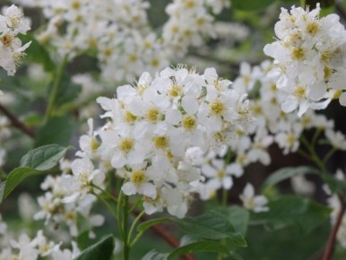 � ���������� �����: ��� �������� ������� ������������� ������ �� ����, ������ � ���