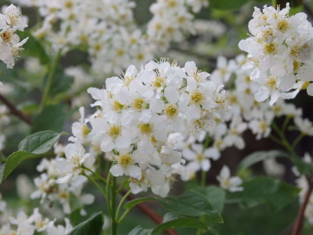 В преддверии весны: как народные приметы предсказывают погоду на март, апрель и май