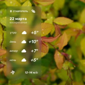 ������ � ���������� 22 �����