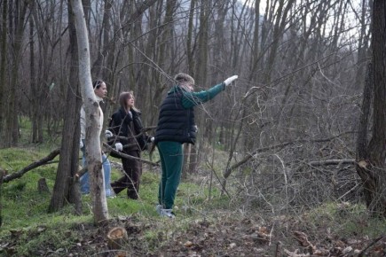 ������� ���������� �������� ������ ������ �� ������