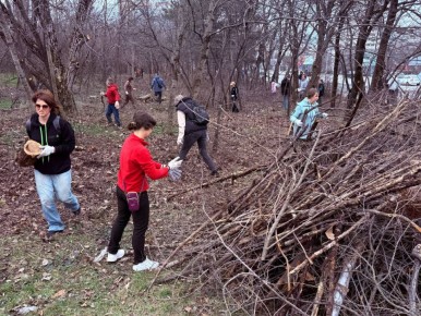 Дмитрий Ворошилов: Вместе с депутатами городской думы поддержали экологическую акцию наших волонтеров и присоединились к субботнику на склоне горы Машук