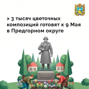 � ���������� ������ �������� ���������� ���������� � ������������ 81-� ��������� ������� ������