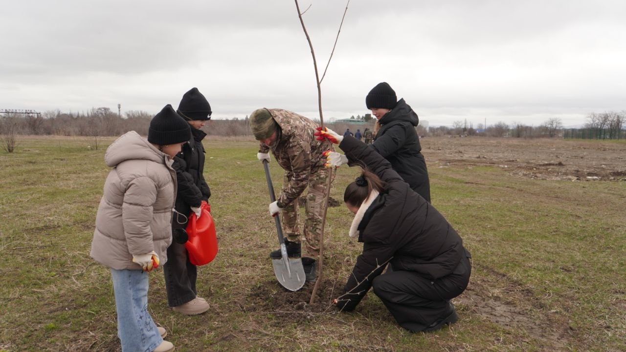 Аллею из 200 катальп высадили в Кочубеевском округе Аллею из 200 катальп высадили в Кочубеевском округе