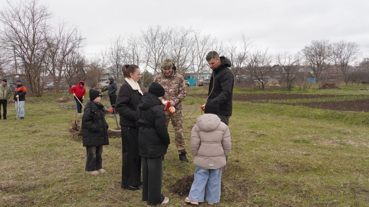 Аллею из 200 катальп высадили в Кочубеевском округе Аллею из 200 катальп высадили в Кочубеевском округе