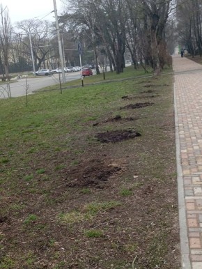 ����������� ����������� ��� ���������� ����������� ������� � ����������