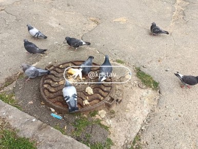 ������ ���������� �������� �� ��������� ������� � ������������ ������: ���������, ����� ����� �� ��� ������