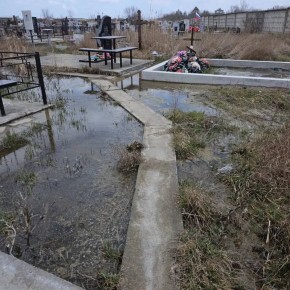 �������� � �������� ��������� ����������� ��� ��������� ���