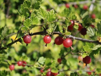 ���� ���� ����������: ��� ������� ������ ����� ��� ����