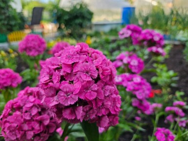 8 ������� ������� ��������, ������� ����� ������� � ����