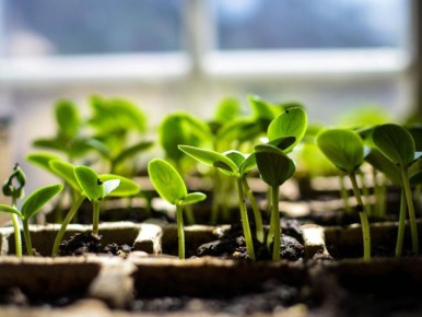 ������� ���������� ������ �������: ��� �������� ���������������� ������