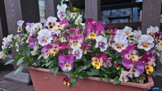 ��������� ����: ��� �������� ������� � ������ � ������� �������