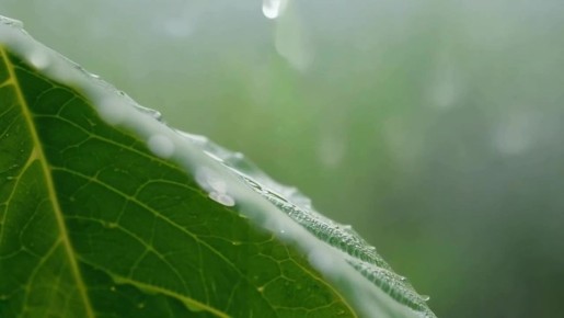 �� ������ ����������, ������ �� ����������� ������� ��������� � ��������� �����, ����� � ��������� ������� �����