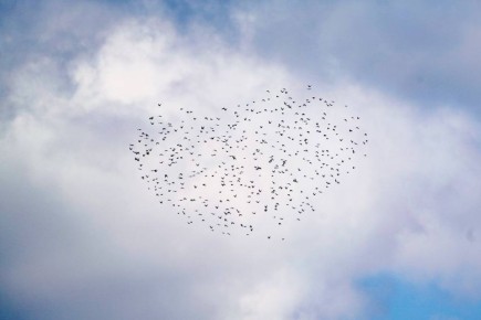 ������� ��������� � ���� � ����� ������ ��� ������ ������