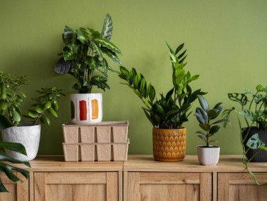 ������ ������ ������ � ��������� ��������: �������� �� ����� �����