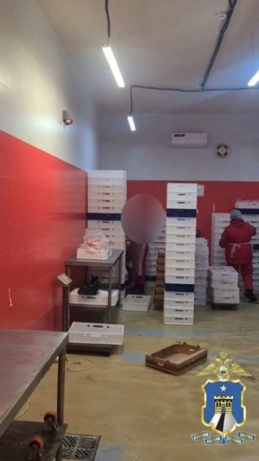 657 нарушений в сфере миграционного законодательства обнаружено на Ставрополье с 13 по 26 марта