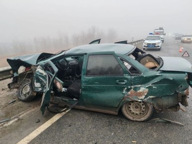 � �������� ������������ ����������� ������ ����������