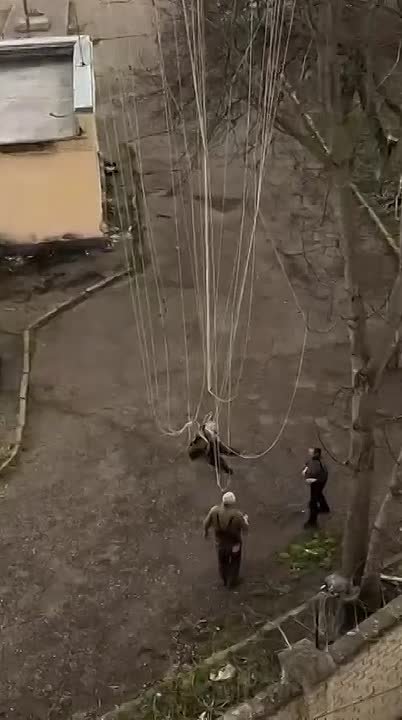 Ничего необычного, просто застрявший на дереве парашютист в Ессентуках