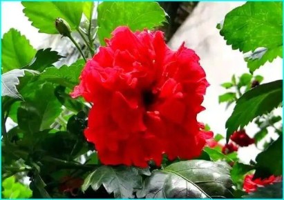 ��������� ����: ��� ��������� �� ����� �������� ����� �������� ���������