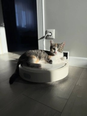 ������� ������ �����: �� �������� �������� ����������� ������