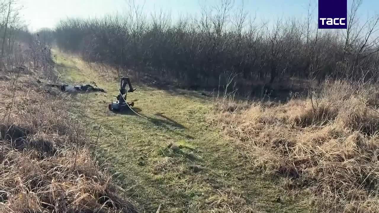 ФСБ предотвратила в Ставрополе теракт против сотрудника правоохранительных органов