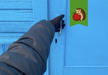 ��� ���������� � ��������� ������ �� ����: ������������ ������