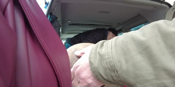 ������ ���: � ����������� ������� ������������ �������� ������� ����� ������� ����� �����