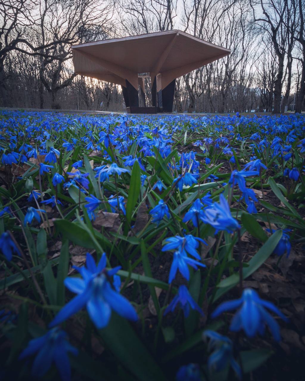 Подножие горы Машук. ЮЖНЫЕ СНЫ Подпишись на нас в MAX