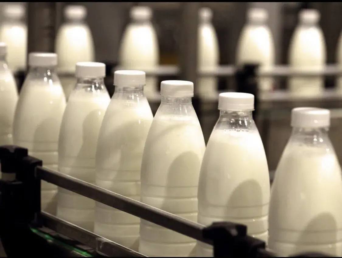 Ставрополье наращивает производство молочной продукции