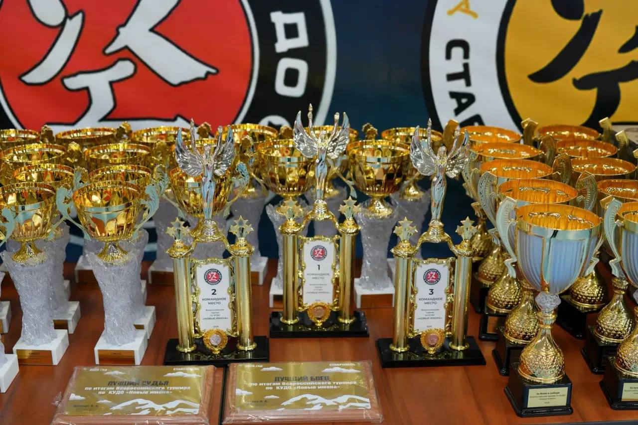 Всероссийские соревнования по кудо Всероссийские соревнования по кудо