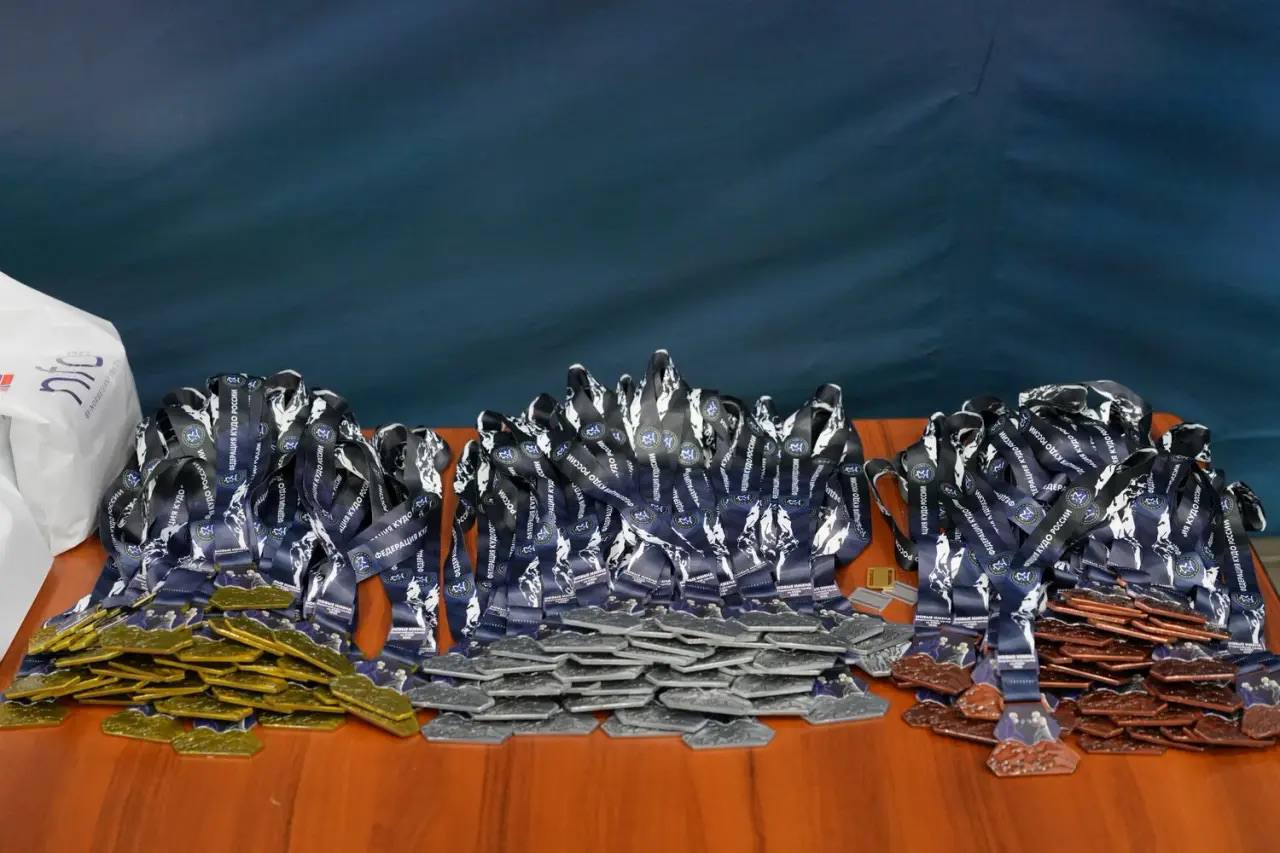 Всероссийские соревнования по кудо Всероссийские соревнования по кудо