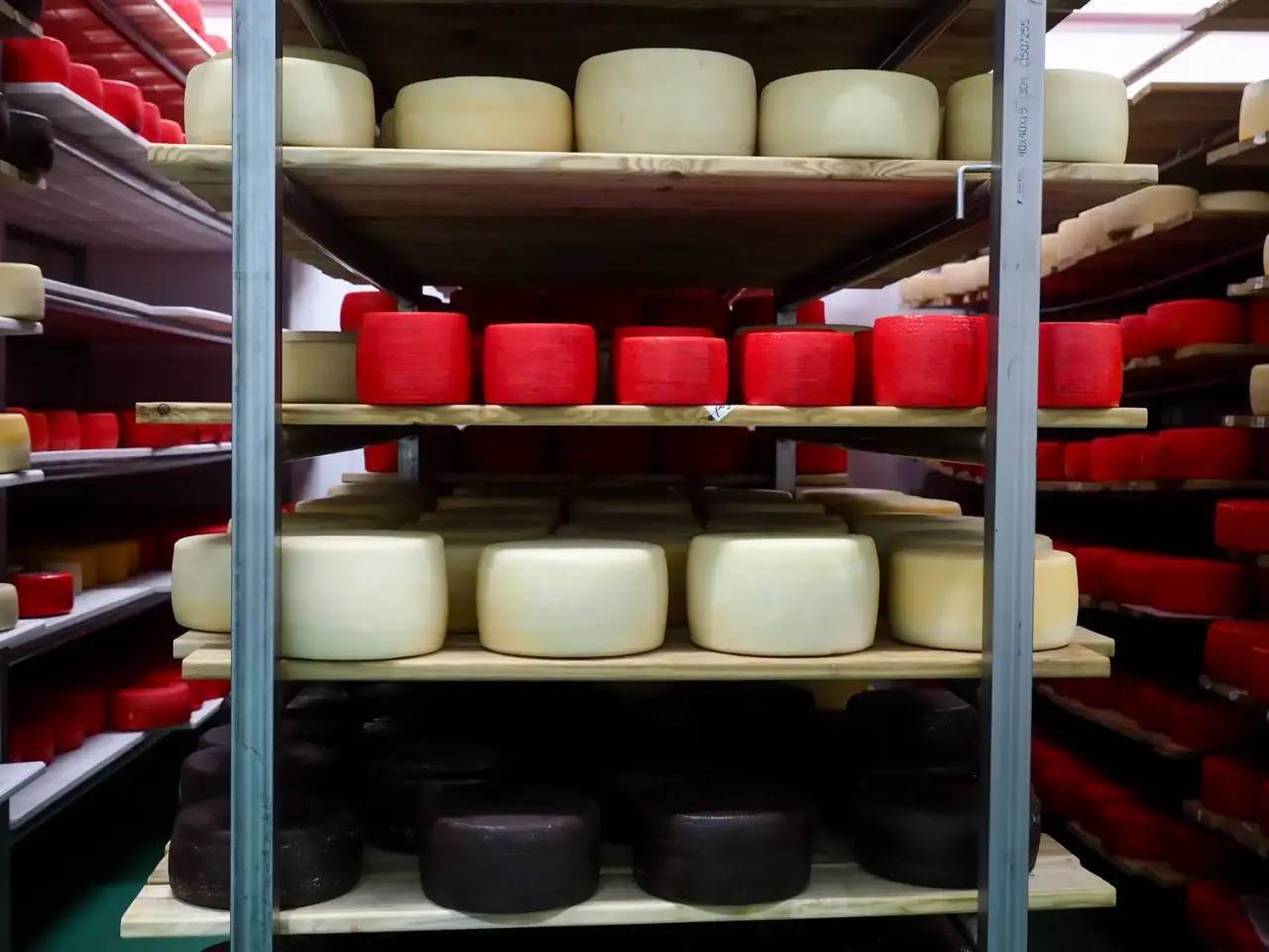 Ставрополье наращивает производство молочной продукции Ставрополье наращивает производство молочной продукции