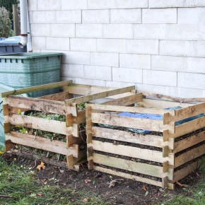 ����������� �������: ����� ������ �� ����� ������������