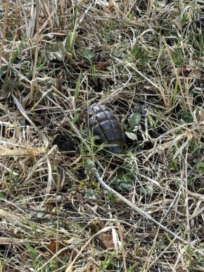 ������� �������: � ����������� �����, ������������ ���������, ���������� �������