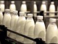 Ставрополье наращивает производство молочной продукции