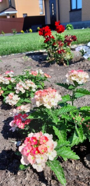 �������: ��������� ��� ��� ������ ����