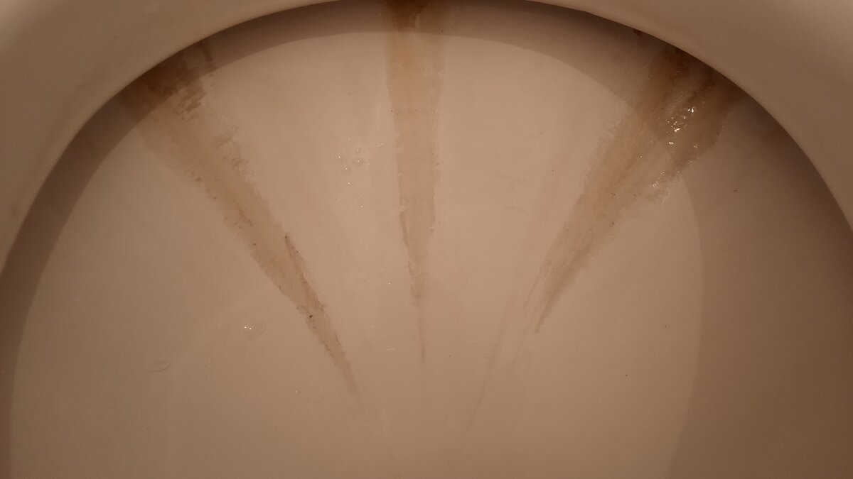 Секрет идеальной чистоты унитаза за 8 рублей