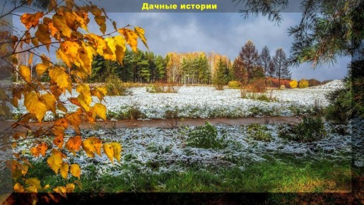 Все, что нужно знать дачнику: 30 актуальных вопросов и ответов