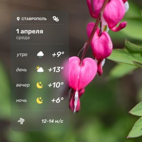 ������ � ���������� 1 ������