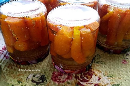 ������� �� ����: ��� ��������� ����������� ���� ��� ������