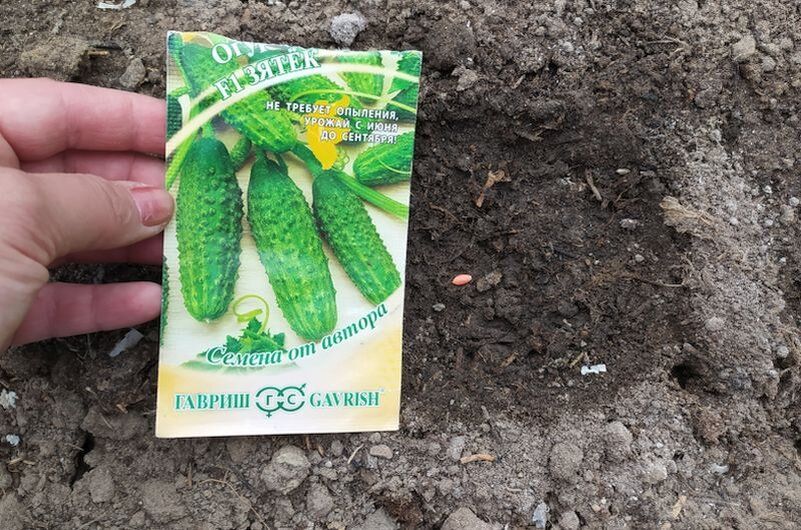 ����� ��� ��������� ������: ��� ������� ������ ������ �� ����� �������