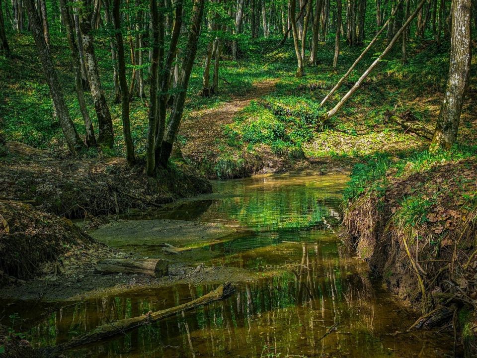 ������� ���������� ����������