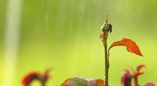 �� ������ ����������, ������ �� ����������� ��������������� �����, �����, ������� ������� �����, ������ � ��������� � ������, ������ � ������� ������ 20-23 �/�