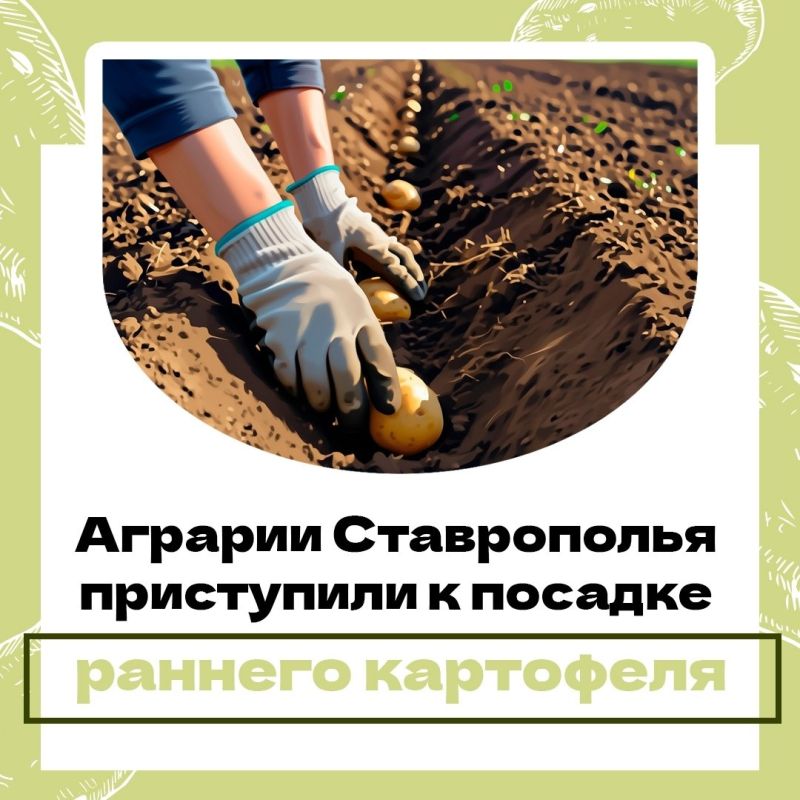 � �������������� ���� ������ ���������� ������ ���������